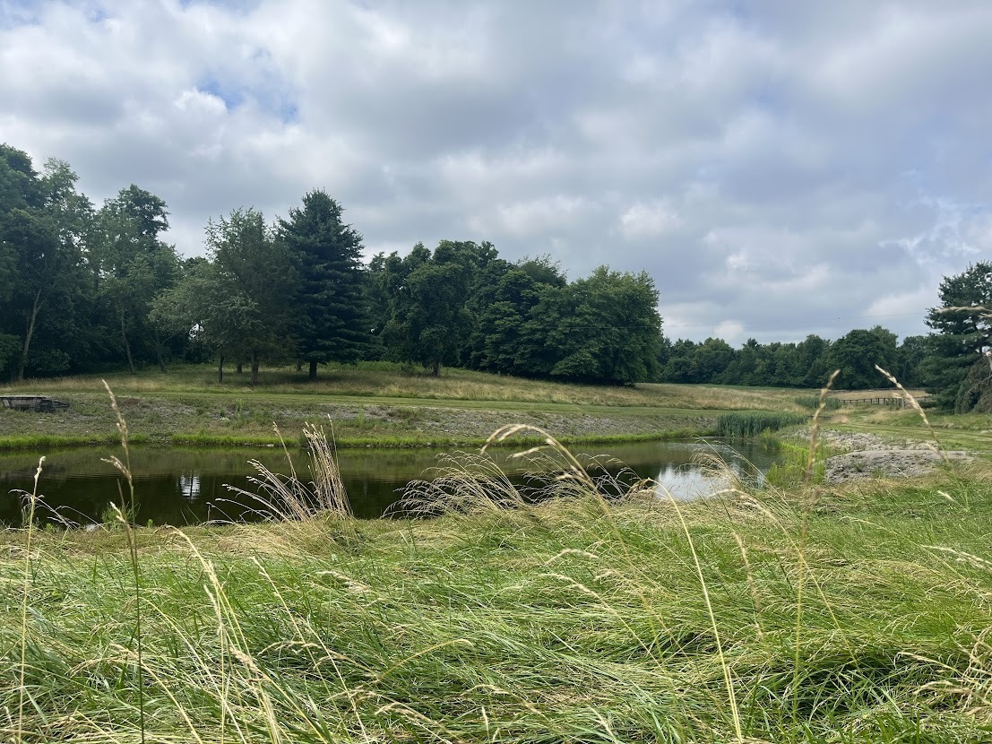 Clingman Park pond