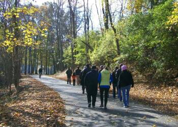 Group walking along a paved trail.