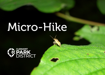 micro hike august