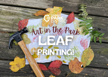 Art in the Park Leaf print