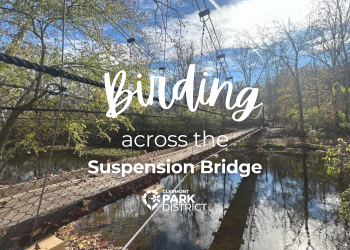Birding Across the bridge at Wilson Nature Preserve