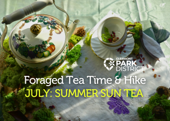 foraged tea july