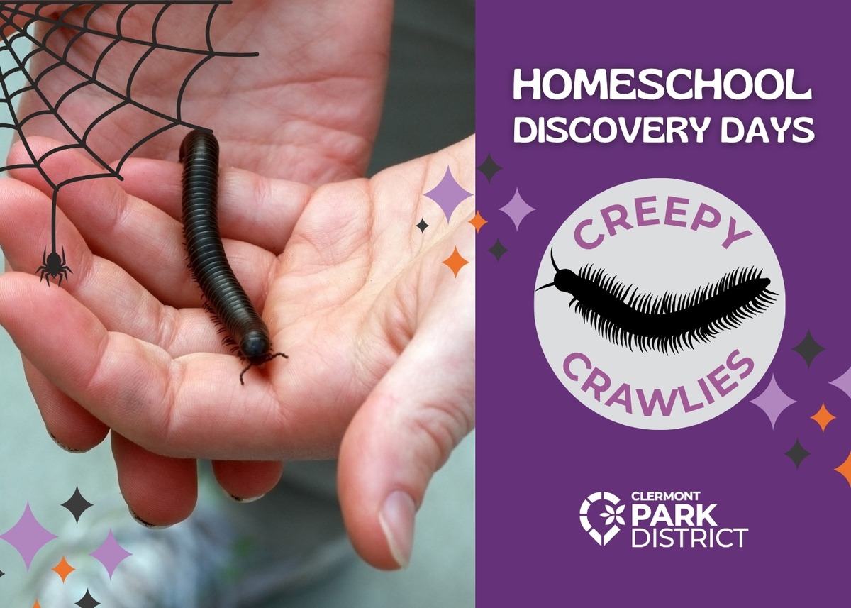 HDD creepy crawlies
