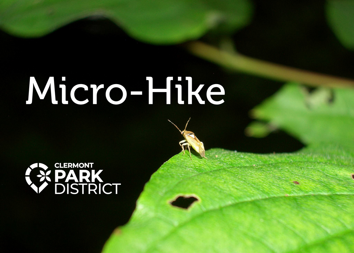 micro hike 