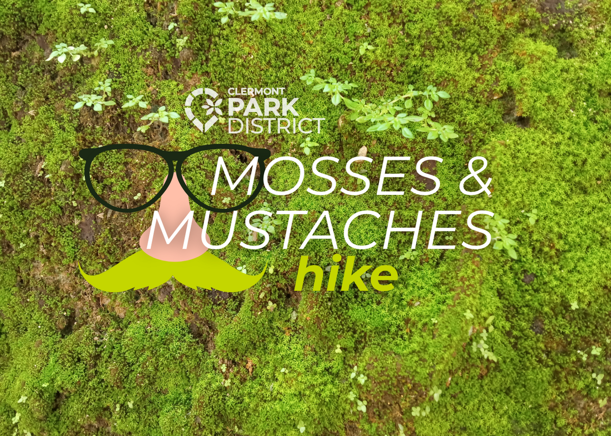 Mossy background with a cartoon mustache