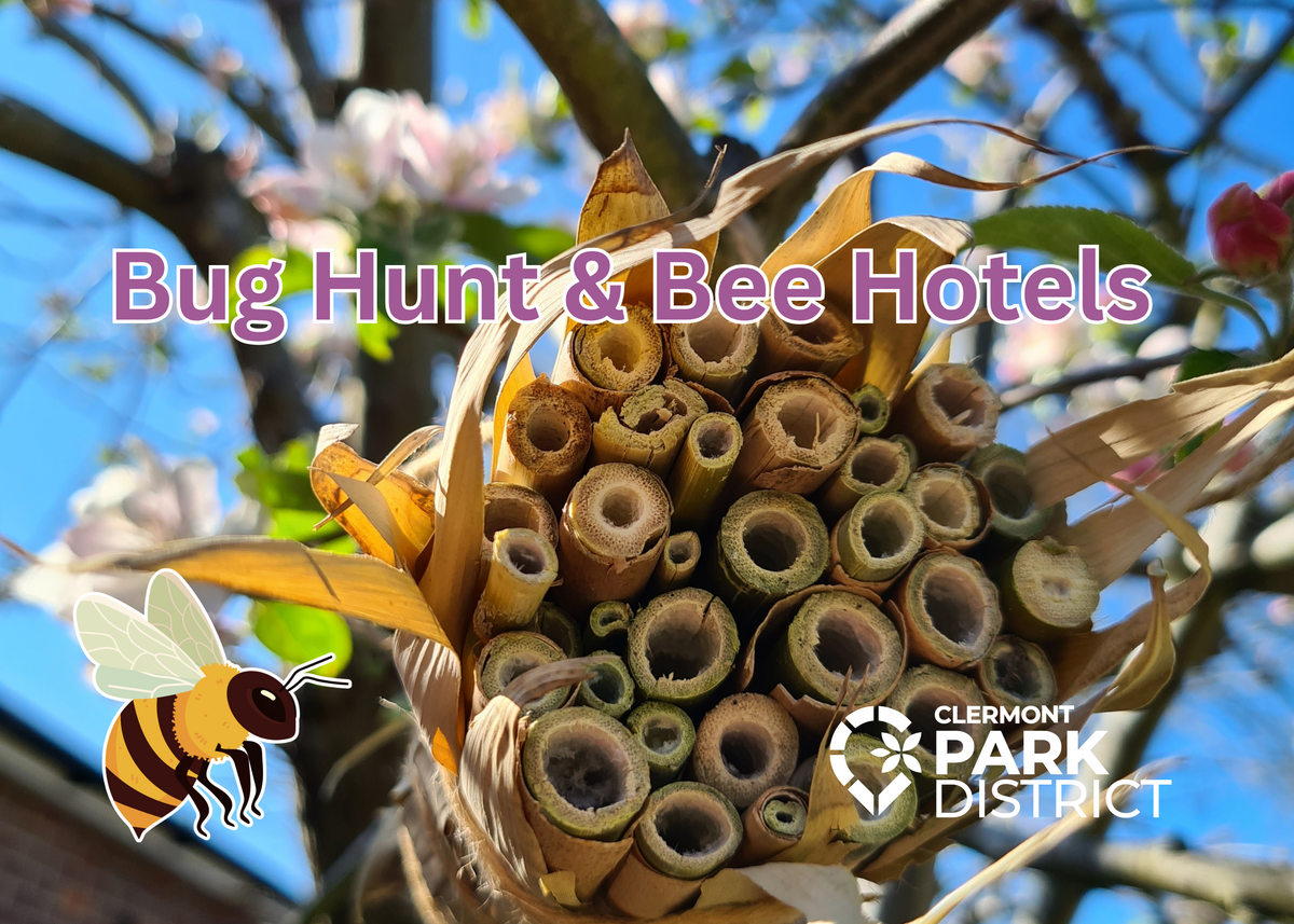 Bee Hotel (bundle of hollow sticks) with a cartoon bumblebee