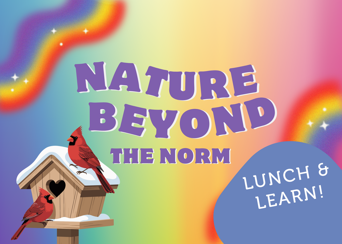 Rainbow graphics with two red male cardinals on a bird house