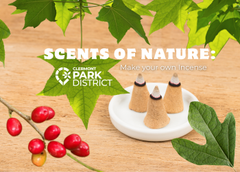 scents of nature incense