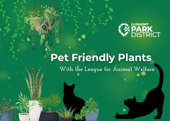 petfriendlyplants