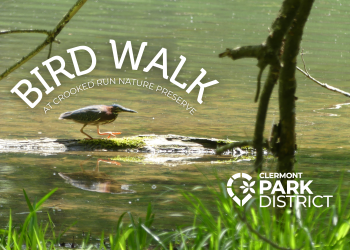 birdwalk