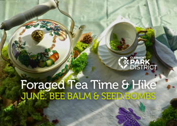 Cute nature tea set surrounded by moss and white floral embroidered tablecloth 