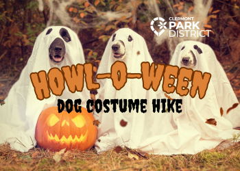 Howloweendogs1