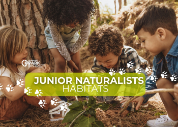 junior naturalists habitat