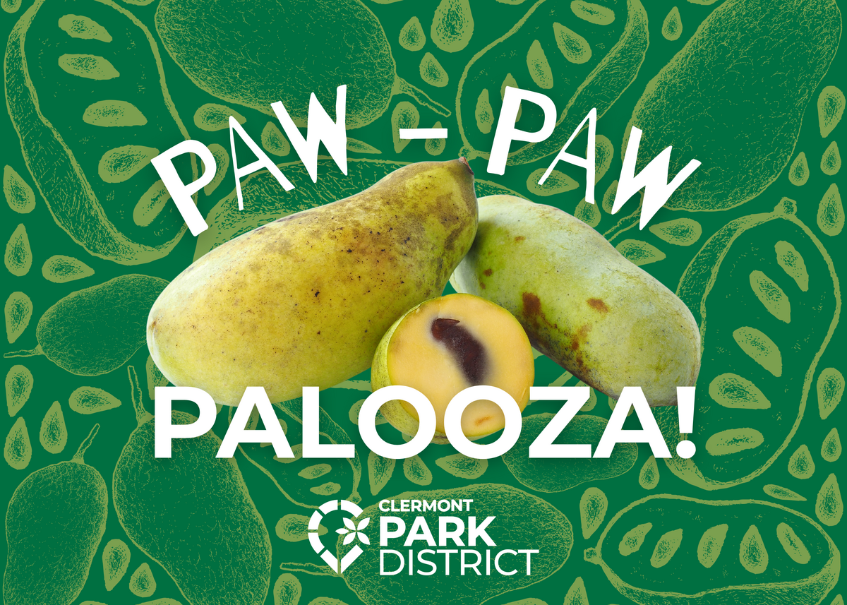 pawpaws
