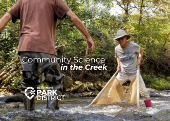 science in the creek