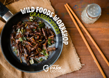 wildfood grasshopper