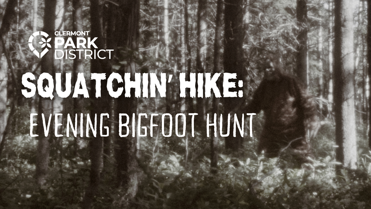 squatchin hike evening bigfoot hunt