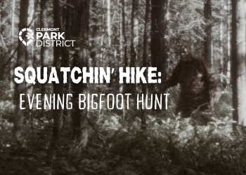 squatching hike evening bigfoot hike