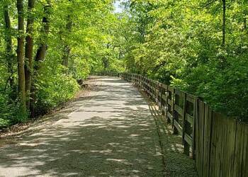morning nature walk