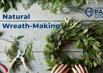 Natural Wreath Making