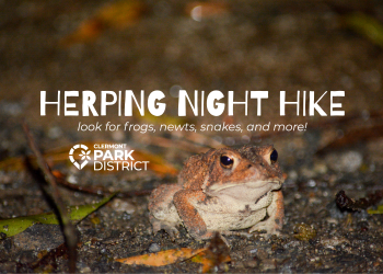 herping night hike