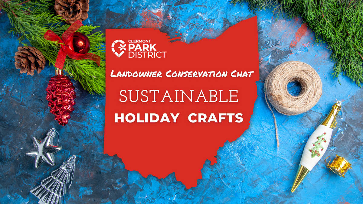 Sustainable Holiday Crafts