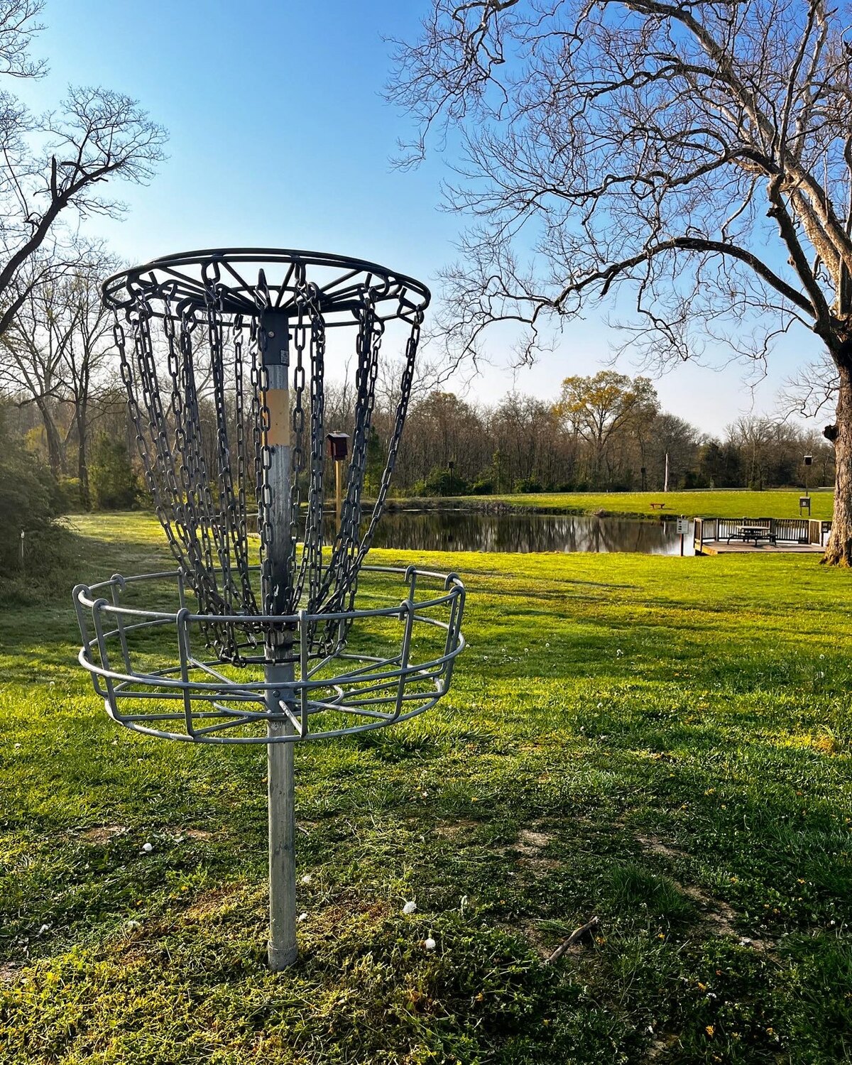 Osage Grove Disc Golf 
