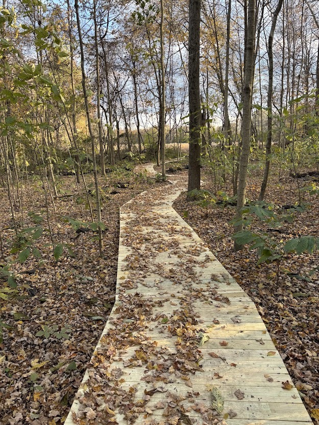 Construction on Boardwalk at Clingman Park