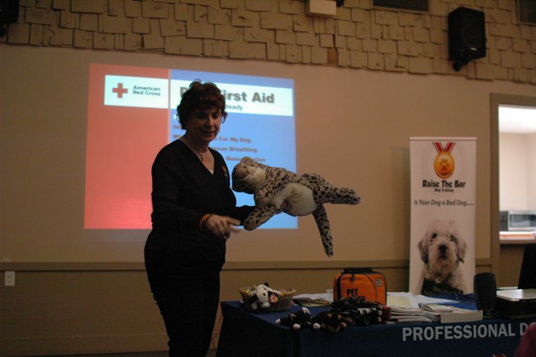 woman holding plush giving presentation