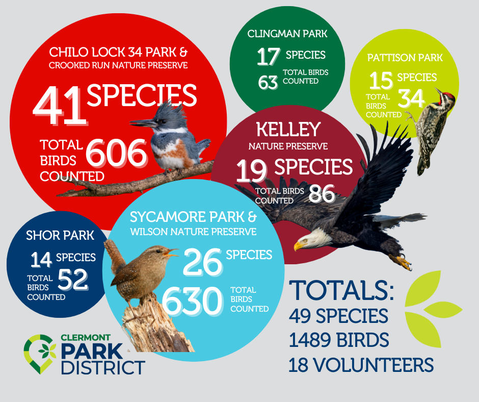 Winter Bird Count Numbers