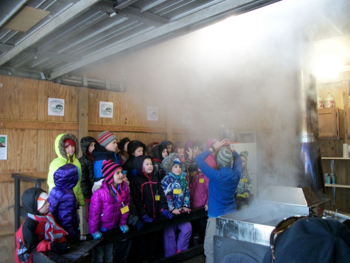 Maple Syrup Demo
