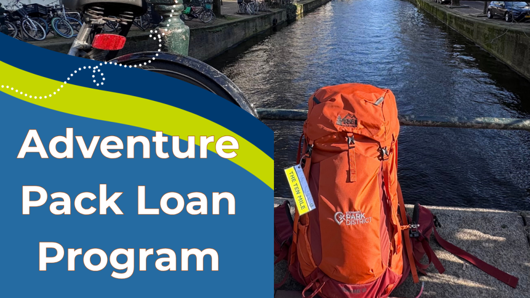 Packing and organization