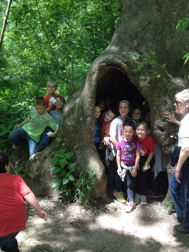 kids sitting in and on tree