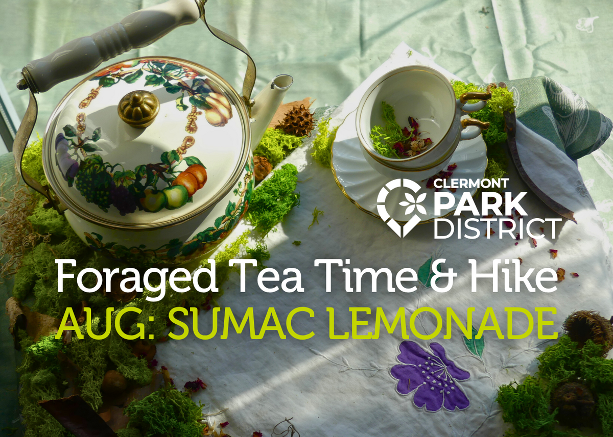 sumac lemonade