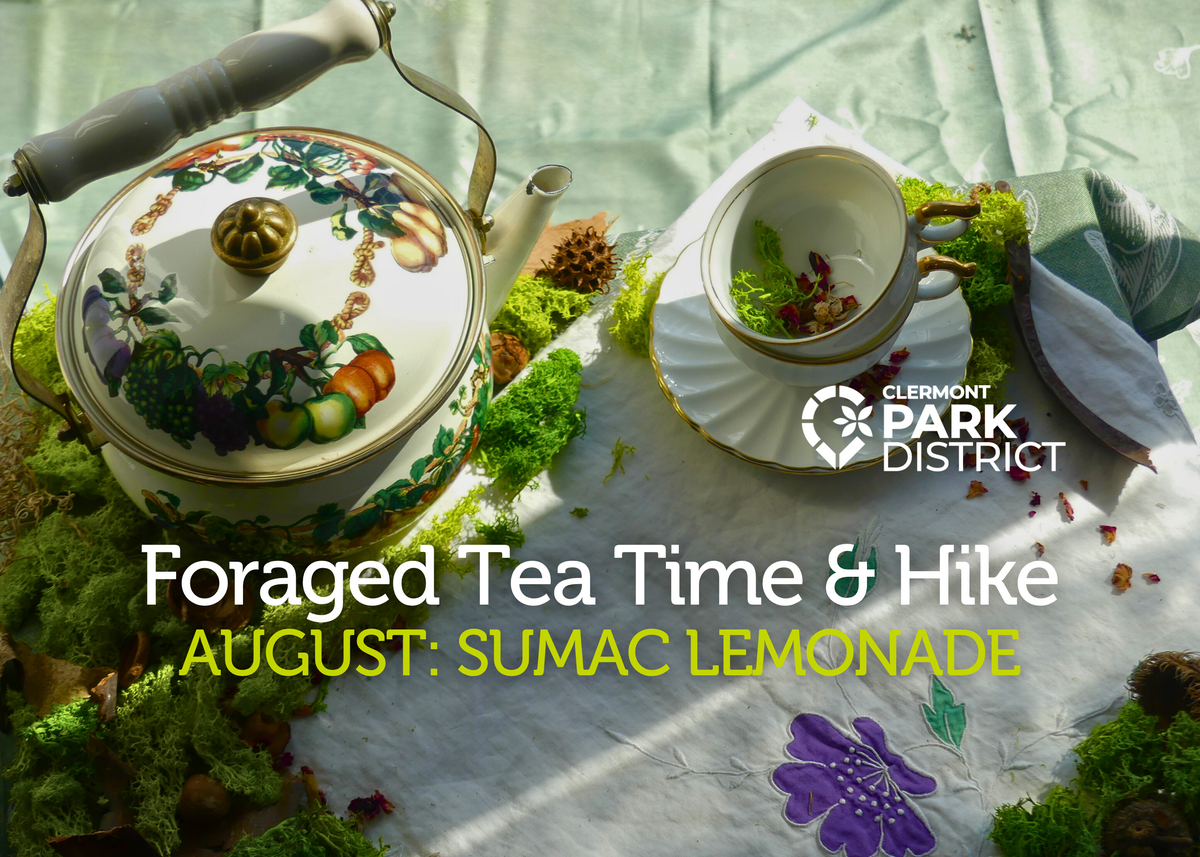 Foraged Tea