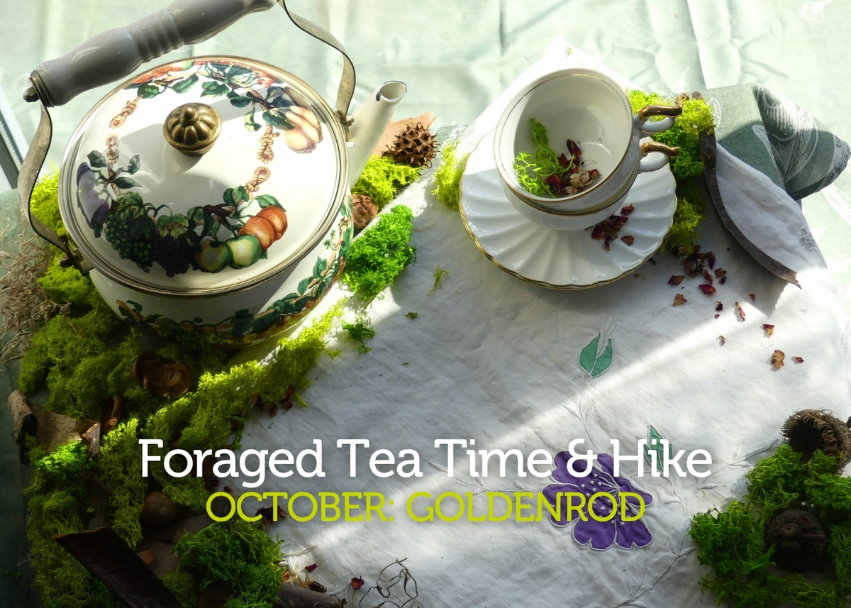foraged tea oct 26