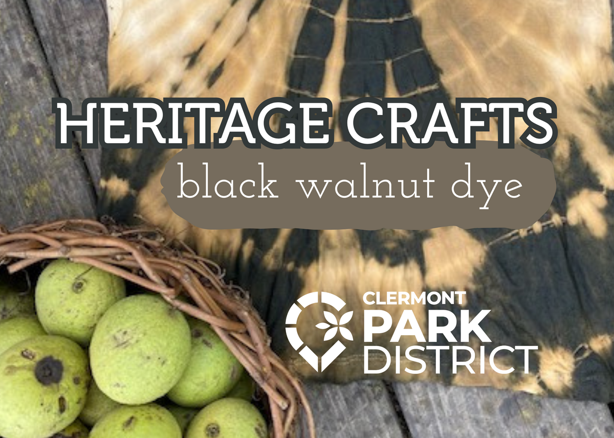 walnut dye