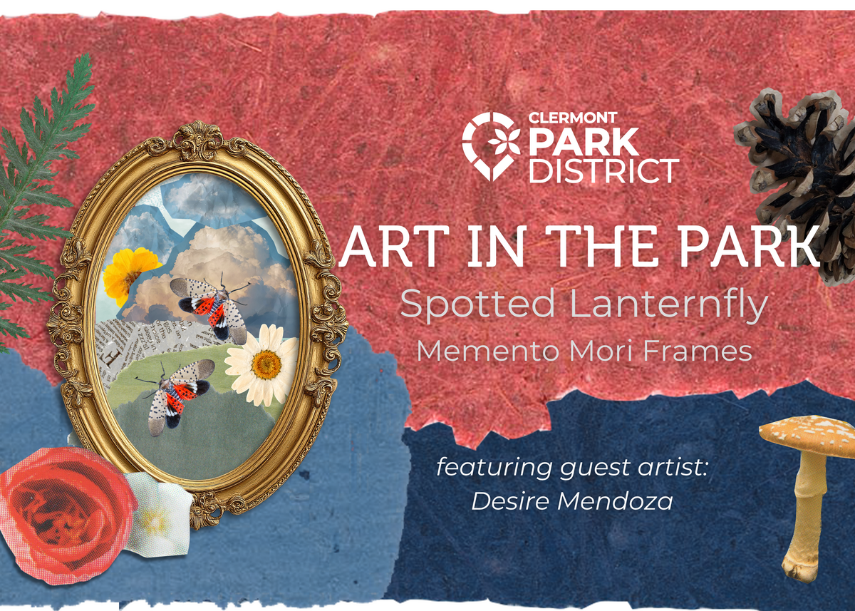 Art in the Park lanternfly memento mori