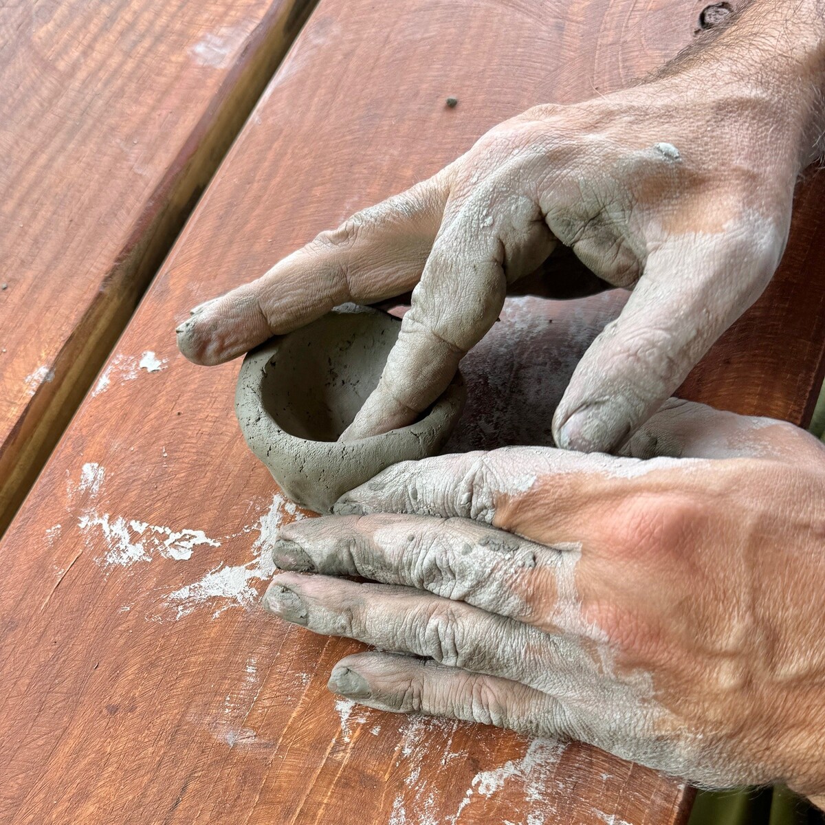 foraged clay flyer
