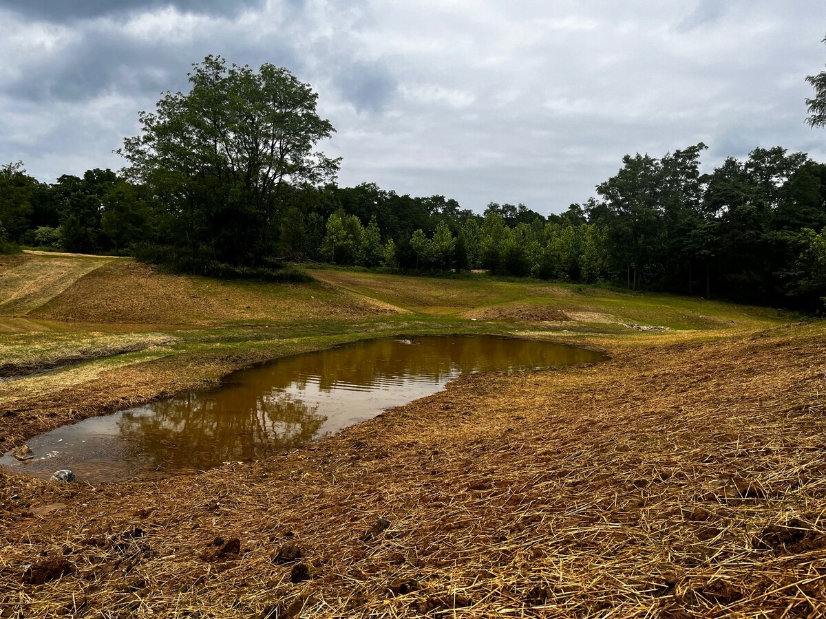 wetland restoration